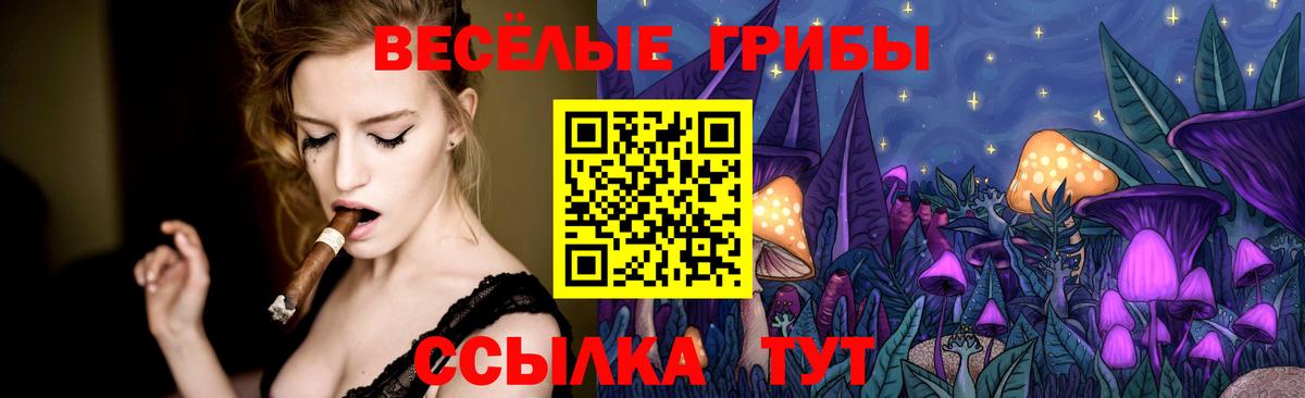 Галлюциногенные грибы Psilocybe  Вход с VPN  Калининград  Псилоцибиновые грибы Cubensis 